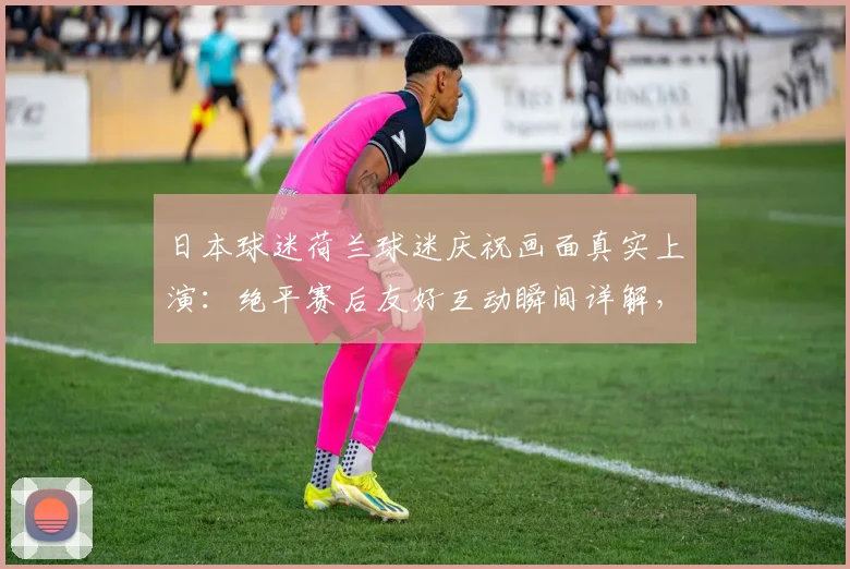 日本球迷荷兰球迷庆祝画面真实上演：绝平赛后友好互动瞬间详解，2026世界杯前瞻热度升温
